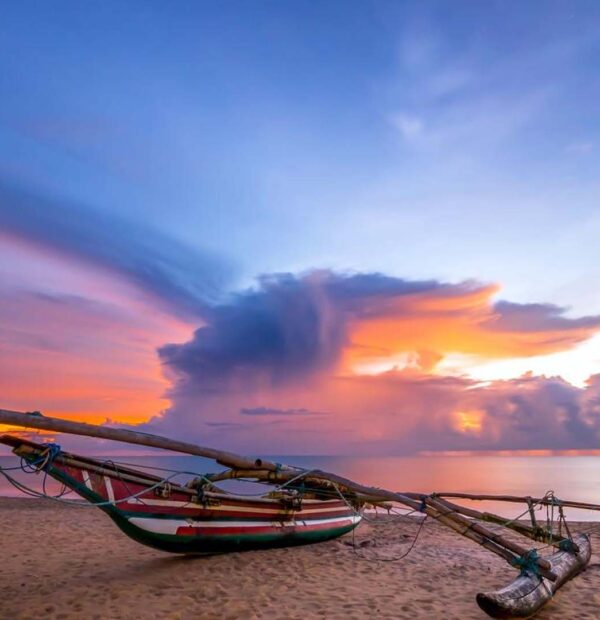 THE CEYLON SERENITY AND SCENIC HIGHLAND ODYSSEY