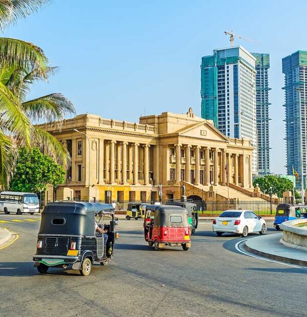 The Ceylon Sapphire Royal Expedition