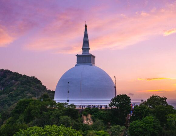 THE BLUE LOTUS WELLNESS & AYURVEDA RETREAT