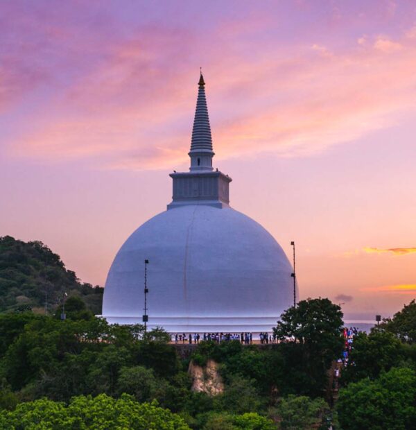THE BLUE LOTUS WELLNESS & AYURVEDA RETREAT