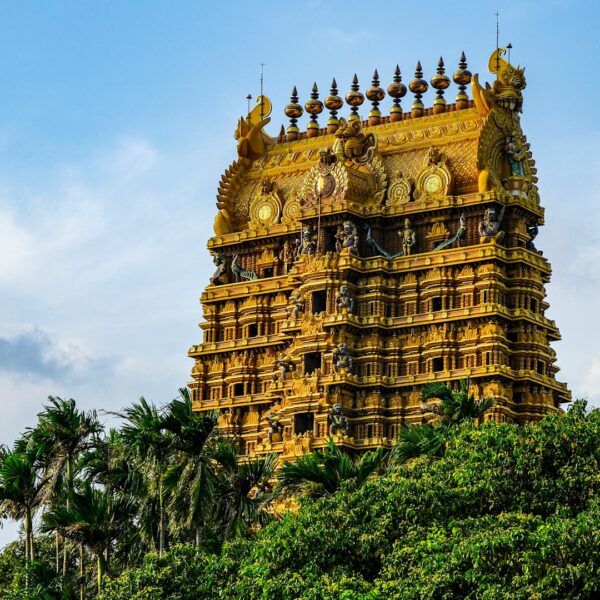 Jaffna